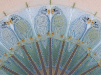 Desert Fan with Gary Clarke (detail)